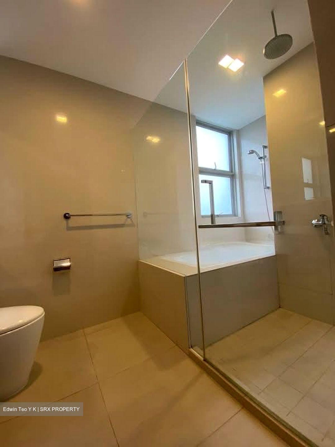 Nassim Regency (D10), Condominium #598237921
